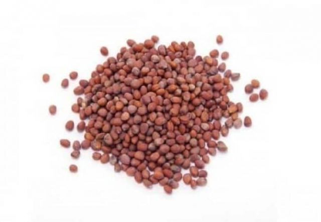 MQH SEMILLA DE RABANO 1KG