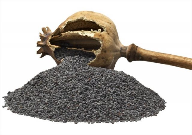 MQH SEMILLA DE AMAPOLA (adormidera azul) 250gr