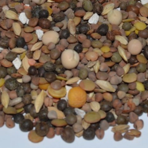 Mezcla de palomos Nº 3 – 25 Kg.
