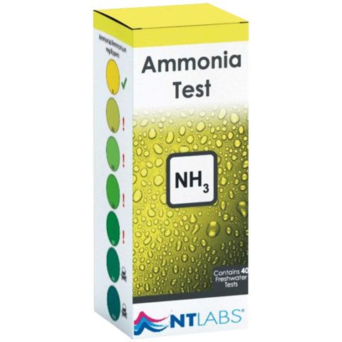 TEST NT AMONIACO  (40 test)