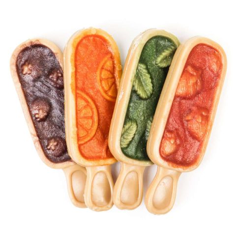 Paleta helada NutraDog Fresh