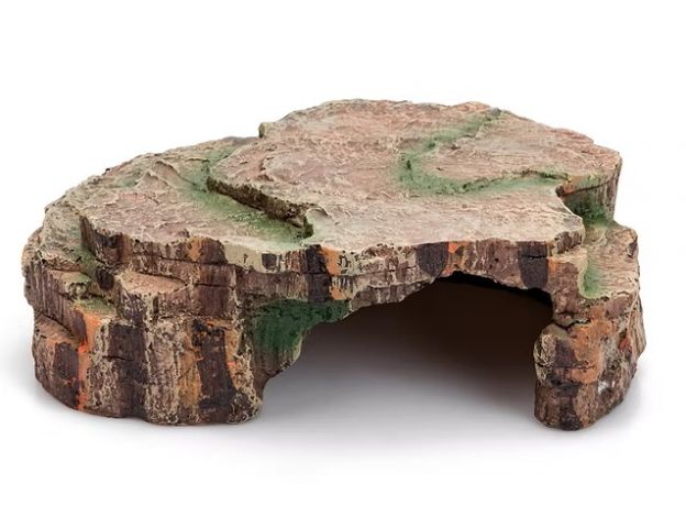 GIGANTERRA CUEVANº269