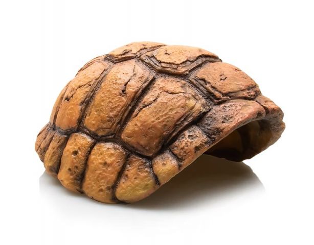 GIGANTERRA Nº483 CUEVA