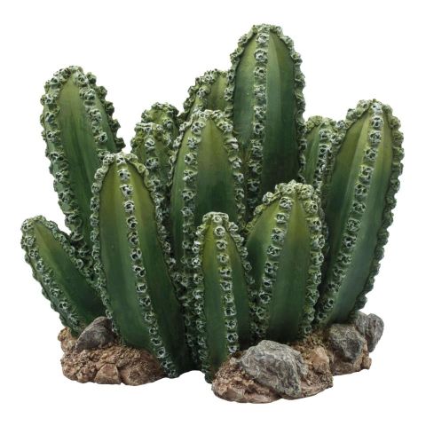 Ornamento conjunto de cactus REPTI-SELVA (19.5 cm)