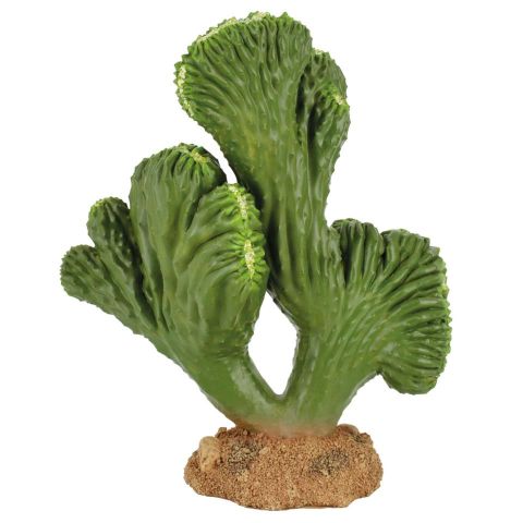 Ornamento cactus cerebro REPTI-SELVA (14.5 cm)