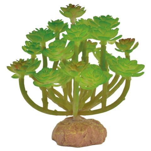 Ornamento verol REPTI-SELVA (9 cm)