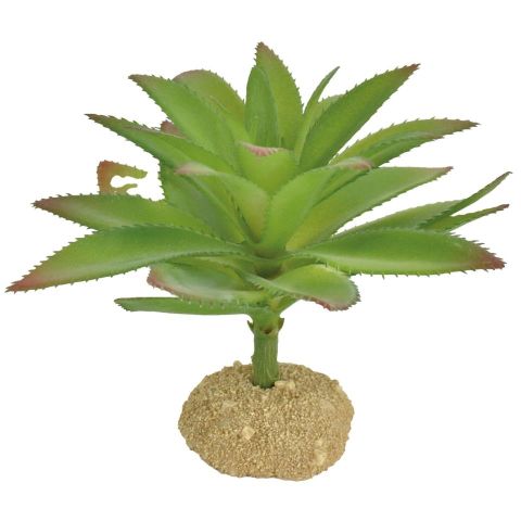 Ornamento aloe espinas REPTI-SELVA M 13X15X10.5
