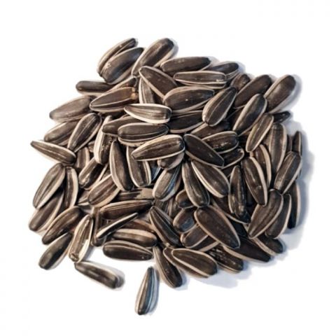 KILEADO PIPA USA 1KG