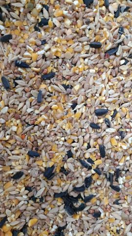 MEZCLA AVES ALTO RENDIMIENTO 25KG