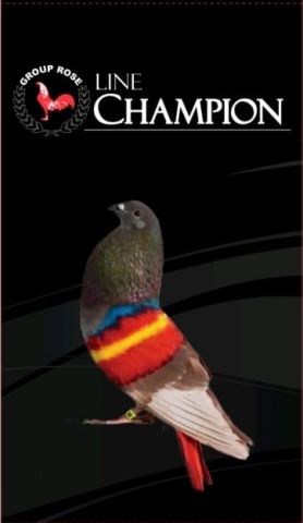 MIXTURA PALOMA DEPORTIVA Nº3-E