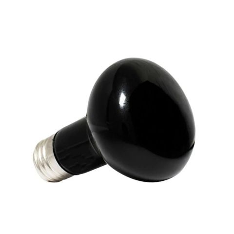 Bombilla de luz nocturna 100W REPTILZOO
