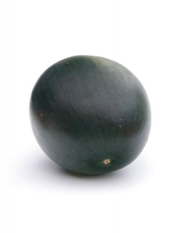 SANDIA NEGRA PACK 6