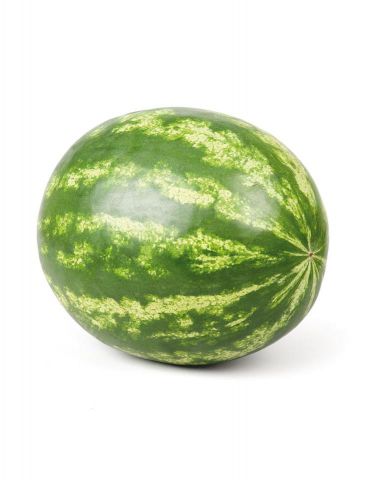 SANDIA RAYADA PACK 6