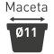 MELON PIEL DE SAPO PACK 6