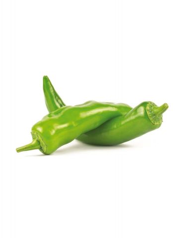 PIMIENTO ITALIANO F1 PACK 12