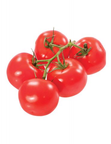 TOMATE GORDO RAMA PACK 6 ECOLOGICO