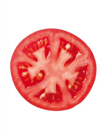 TOMATE GORDO ENCAÑAR PACK 12
