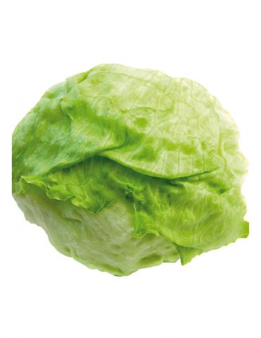 LECHUGA COGOLLO PACK6ECO