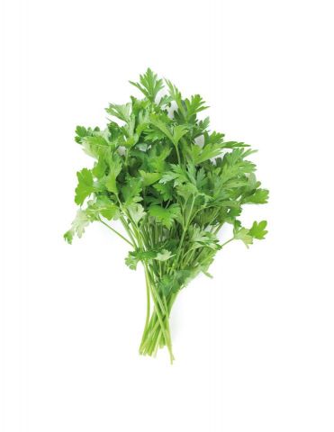 PEREJIL HOJA LISA PACK 1 ECO