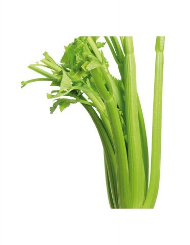 APIO VERDE PACK 6