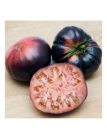 TOMATE MARMANDE AZUL PACK 1