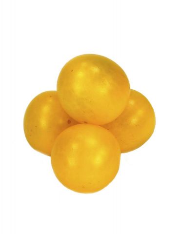 TOMATE CHERRY AMARILLO HOBBY RESH