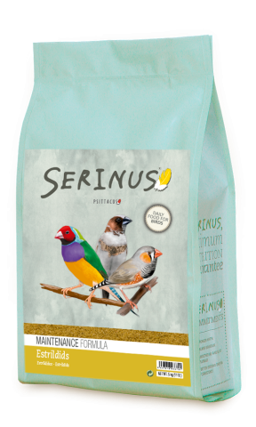 SERINUS ESTRÍLDIDOS MANTENIMIENTO 5KG