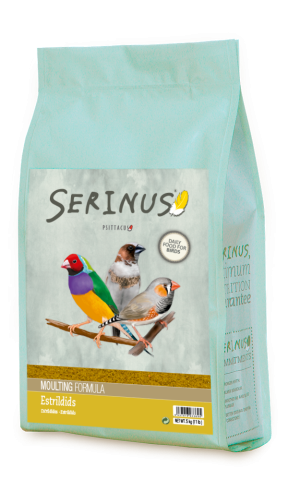 SERINUS ESTRÍLDIDOS MUDA 5KG