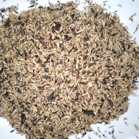 CARDUELIS PLUS BLEND (kg.2.5)