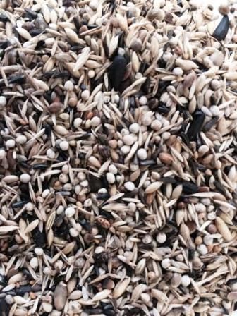 ORNITALIA GREG GOLDFINCH MAJOR 20 KG