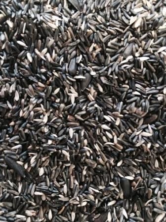 GREG GERMINATION SEEDS GOLDFINCH 3KG (reenvasado)