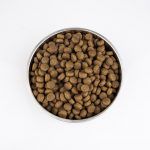 TRAMP DOG ADULT 15KG