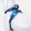 JOYSER ARNES REGULASBLE NYLON/NEOPRENO TALLA L