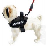 Arnés acolchado “Service-dog” negro. Talla S (70-9