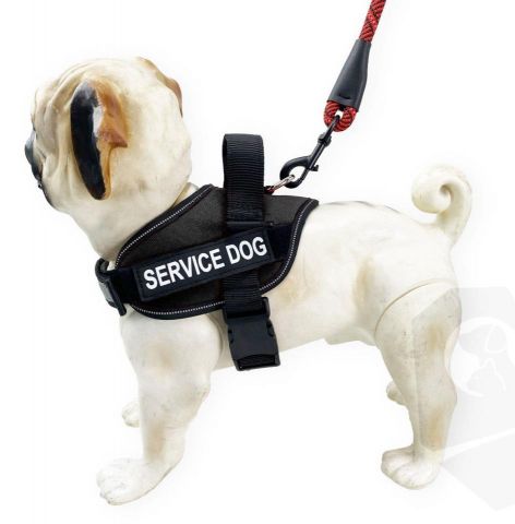 Arnés acolchado “Service-dog” negro. Talla M (80-1
