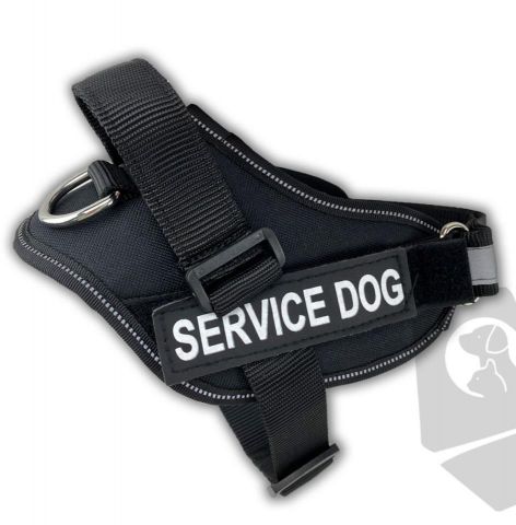Arnés acolchado “Service-dog” negro. Talla L (90-1