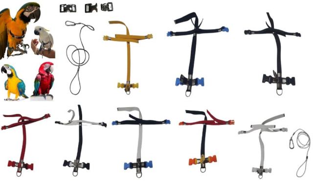 ARNES FREEPARROT MEDIANO MOSQ. PLASTICO V.COLORES