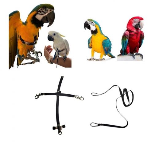 ARNES FREEPARROT GRANDE MOSQUETON METALICO